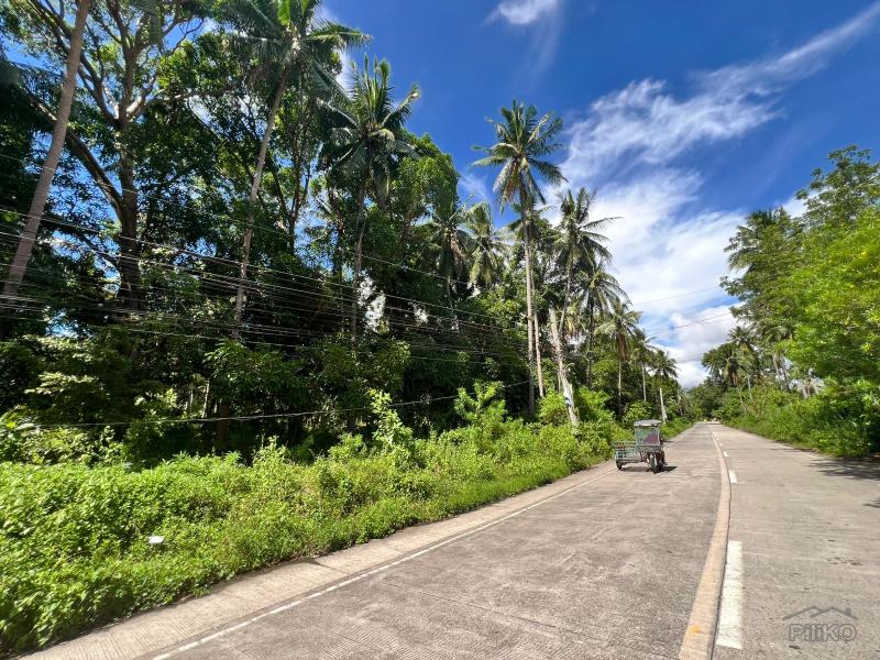 Residential Lot for sale in Dauin - image 5