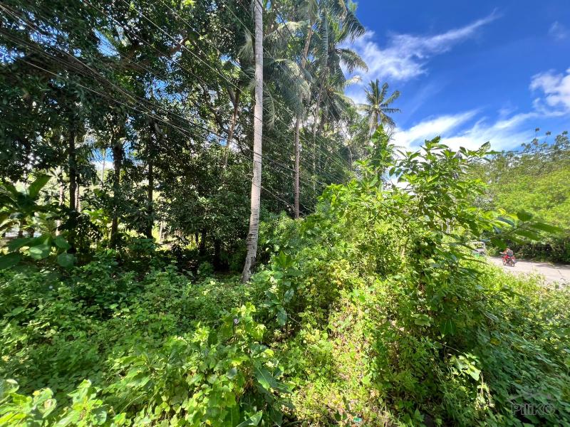 Residential Lot for sale in Dauin - image 8
