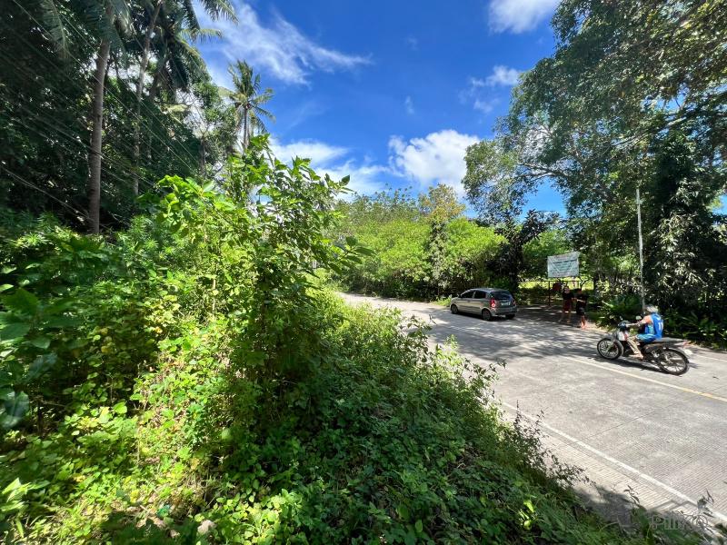 Residential Lot for sale in Dauin - image 9