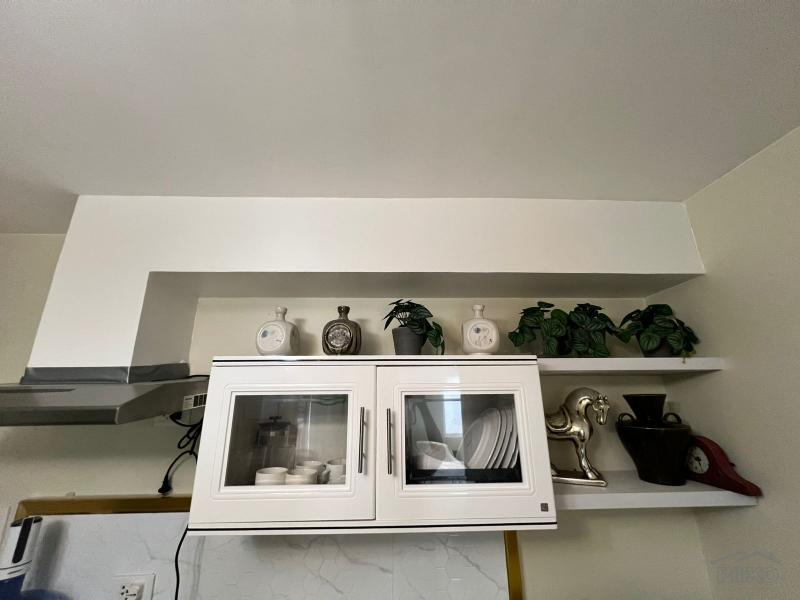 2 bedroom Condominium for sale in Dumaguete - image 8