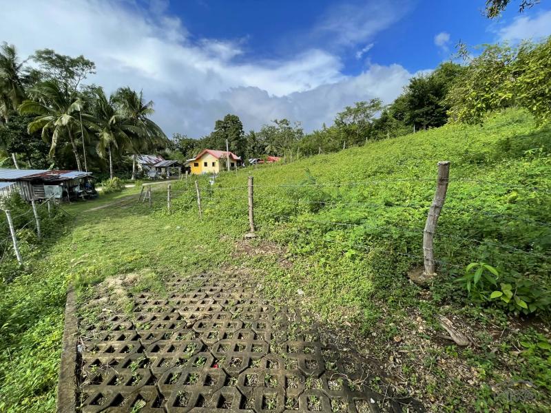 Residential Lot for sale in San Juan - image 10