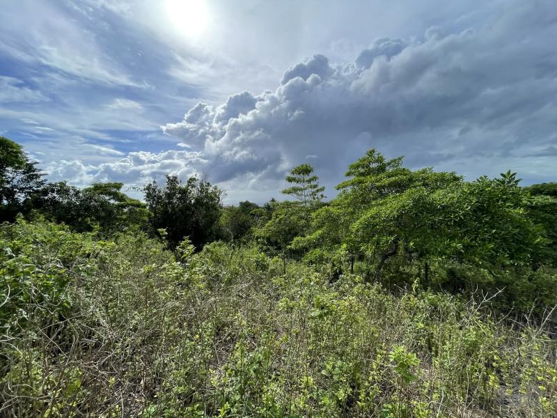 Residential Lot for sale in San Juan - image 12