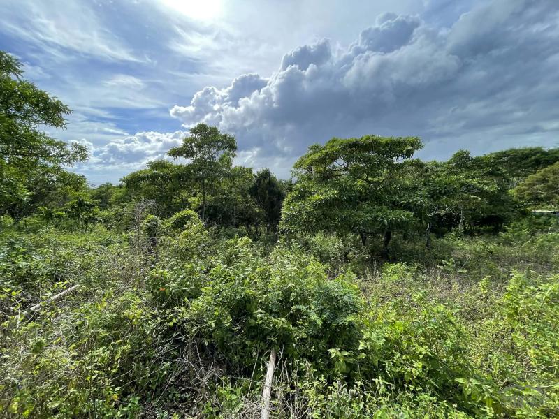 Residential Lot for sale in San Juan - image 16