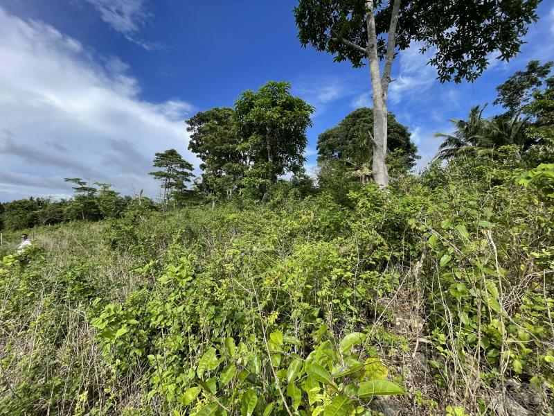 Residential Lot for sale in San Juan - image 19
