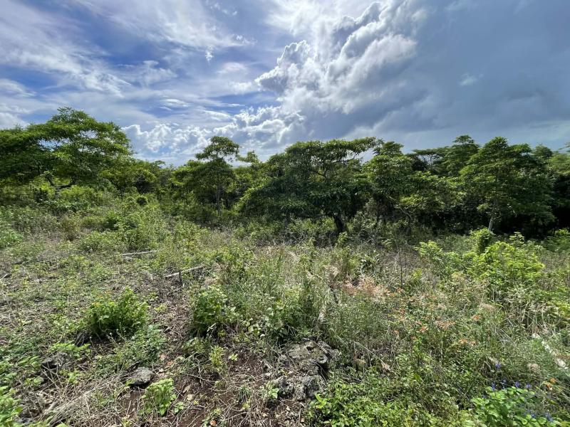 Residential Lot for sale in San Juan - image 21