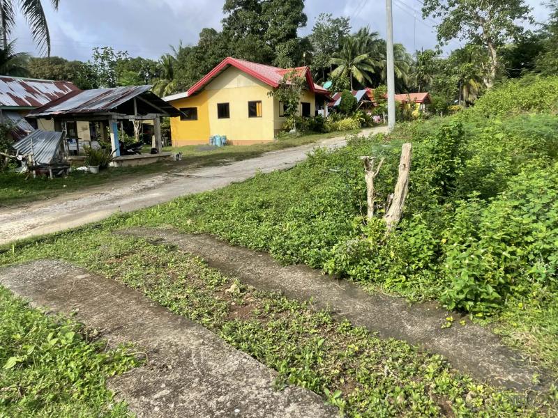 Residential Lot for sale in San Juan - image 3