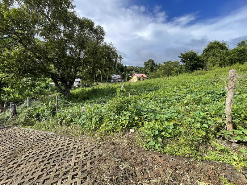 Residential Lot for sale in San Juan - image 4