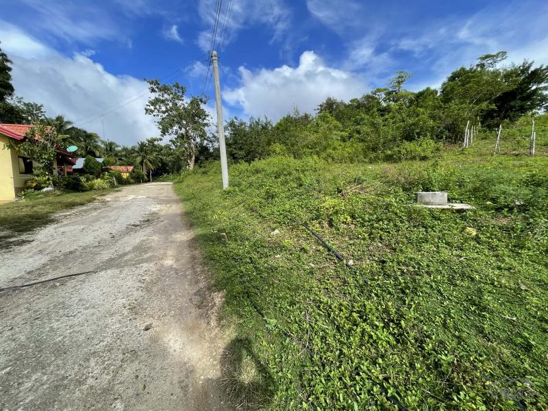 Residential Lot for sale in San Juan - image 5