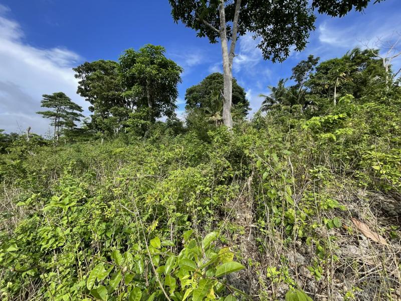 Residential Lot for sale in San Juan - image 8