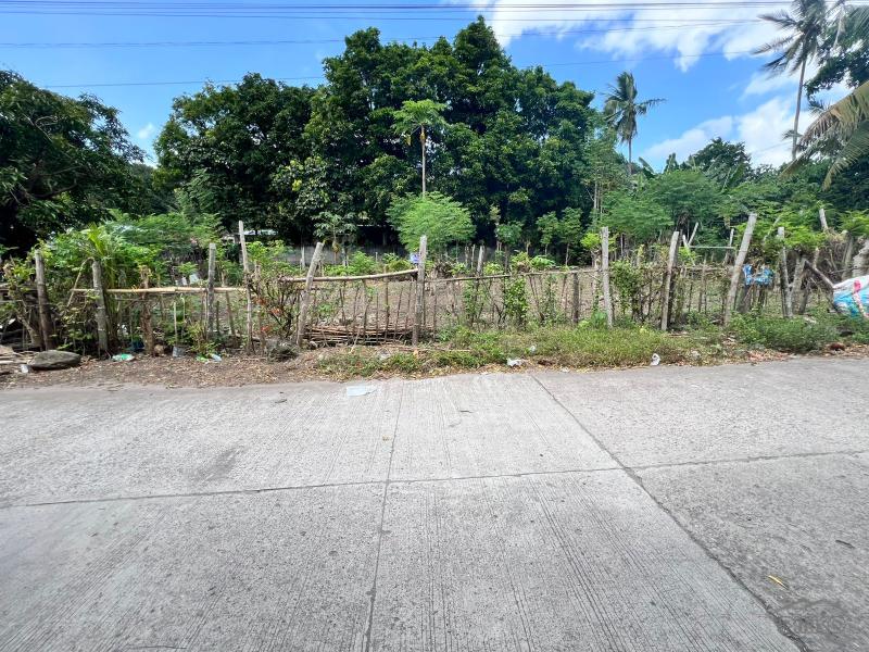 Residential Lot for sale in Dauin - image 3