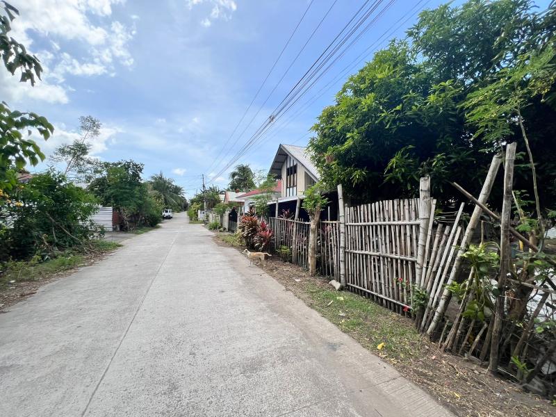 Residential Lot for sale in Dauin - image 4