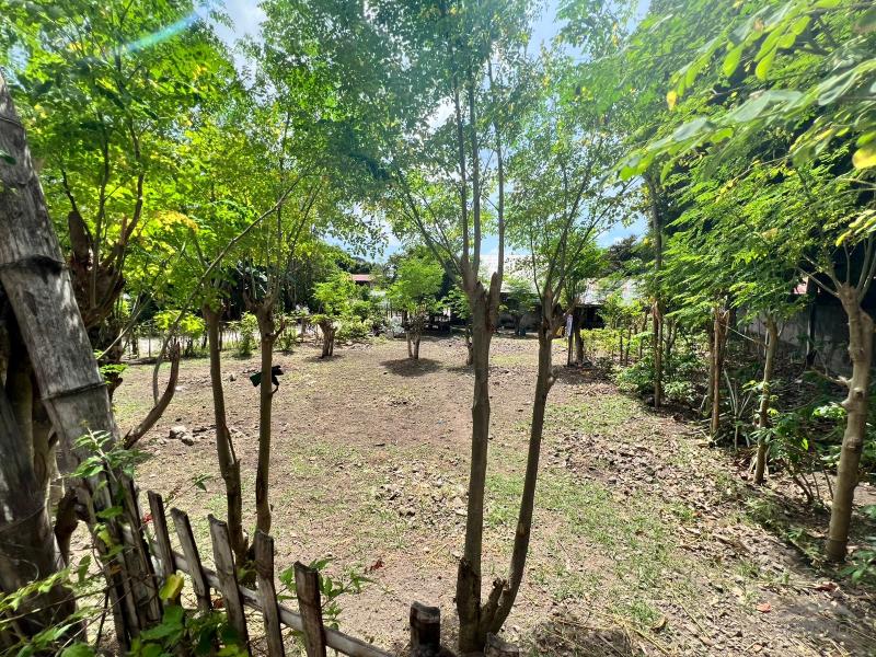 Residential Lot for sale in Dauin - image 6