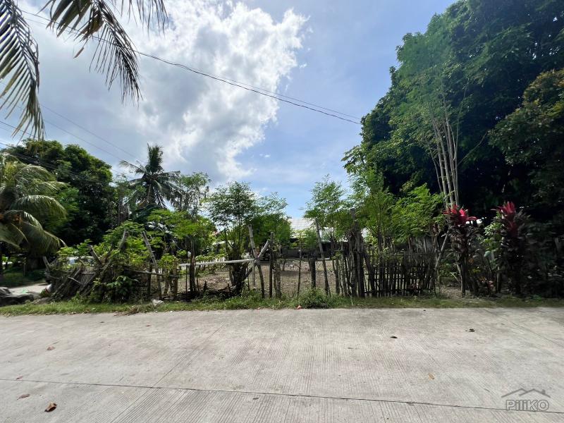 Residential Lot for sale in Dauin - image 7