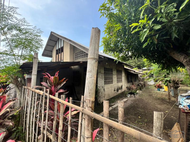 Residential Lot for sale in Dauin in Philippines - image
