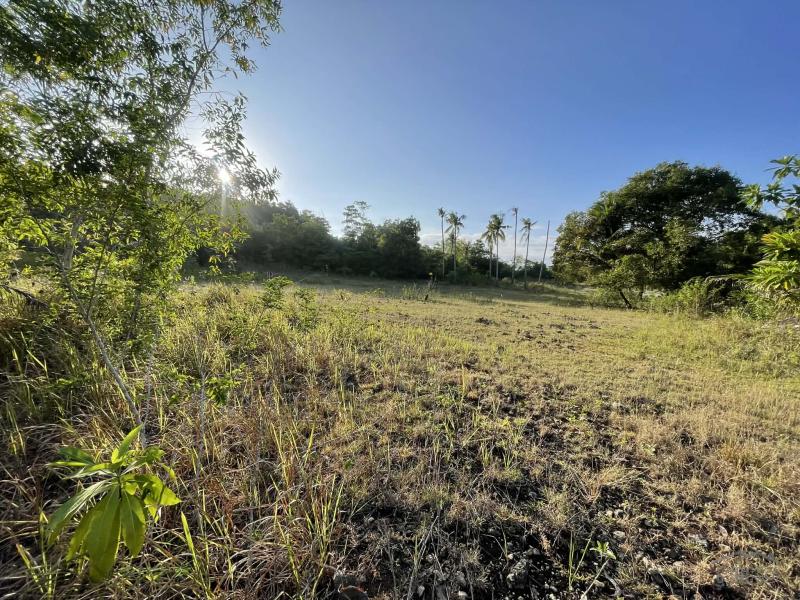 Residential Lot for sale in Siquijor - image 11