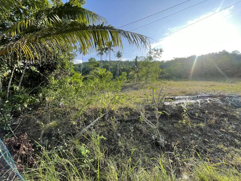 Residential Lot for sale in Siquijor - image 12