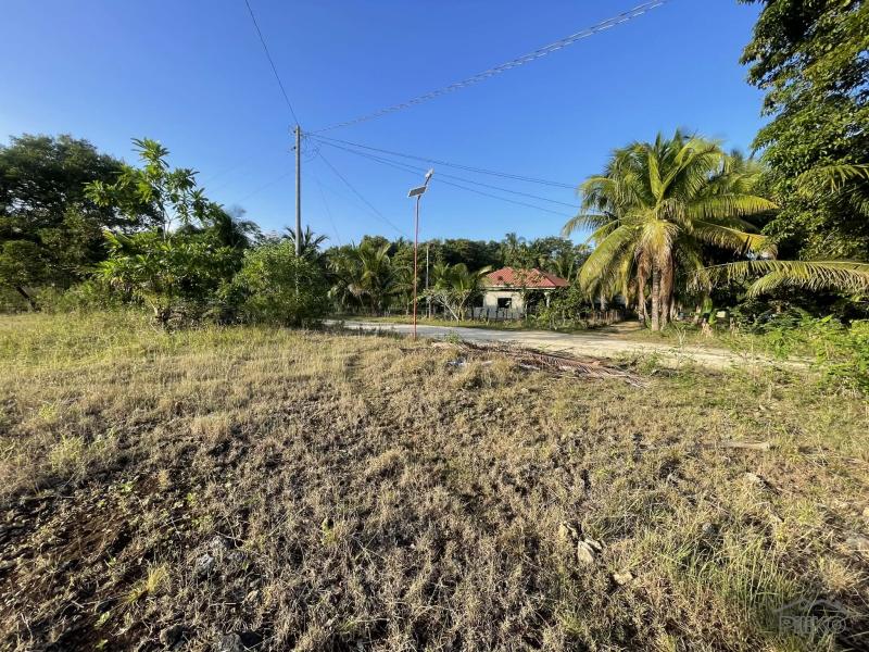 Residential Lot for sale in Siquijor - image 14