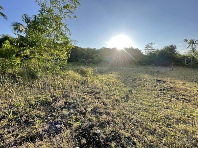 Residential Lot for sale in Siquijor - image 17