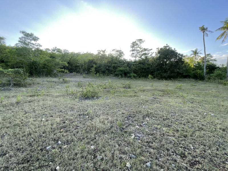Residential Lot for sale in Siquijor - image 18