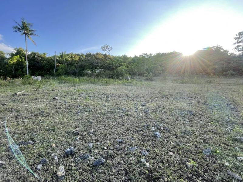 Residential Lot for sale in Siquijor - image 19
