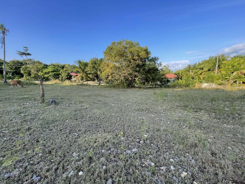Residential Lot for sale in Siquijor - image 20