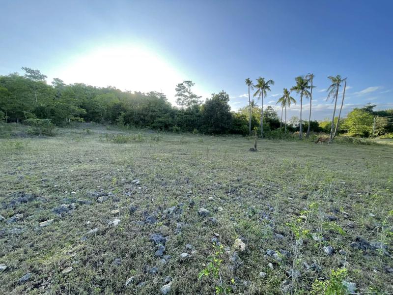 Residential Lot for sale in Siquijor - image 21