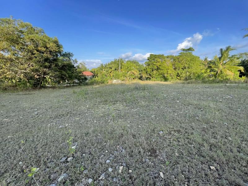 Residential Lot for sale in Siquijor - image 4