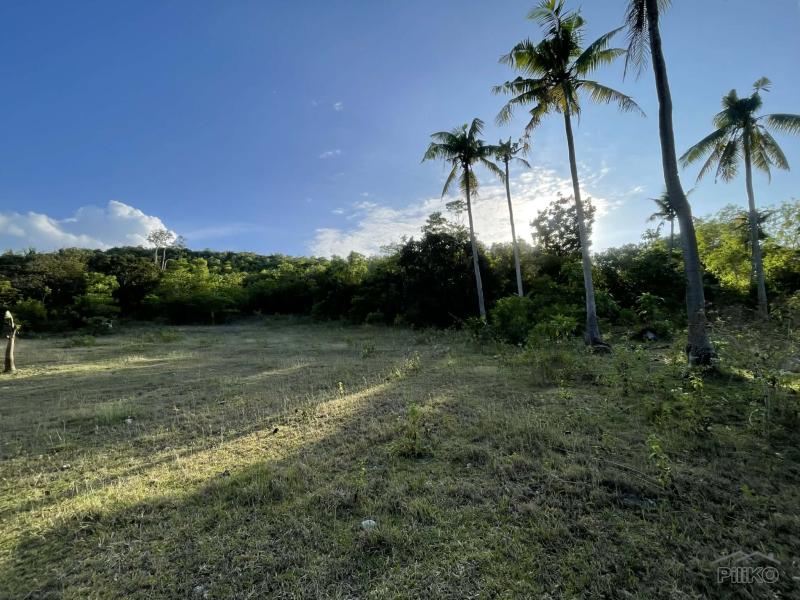 Picture of Residential Lot for sale in Siquijor in Siquijor