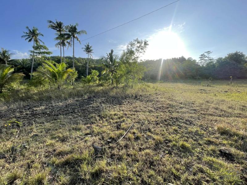 Residential Lot for sale in Siquijor in Siquijor - image