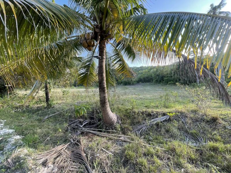 Residential Lot for sale in Siquijor - image 9