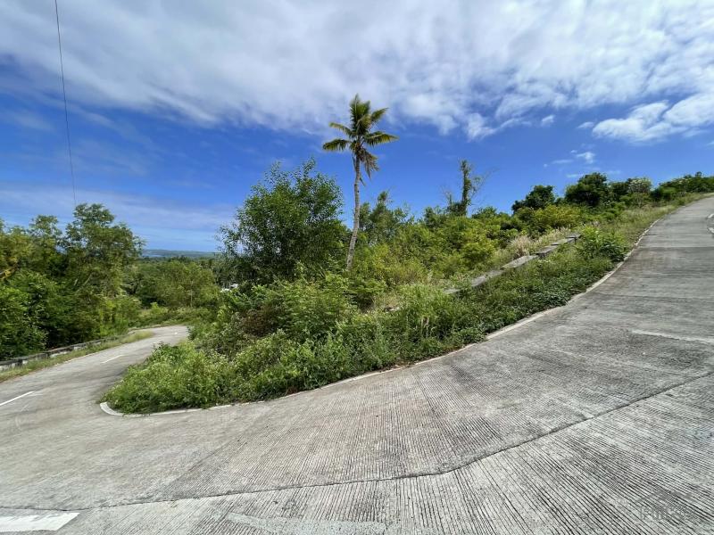 Residential Lot for sale in Maria - image 12