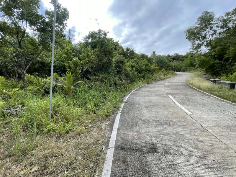 Residential Lot for sale in Maria in Philippines