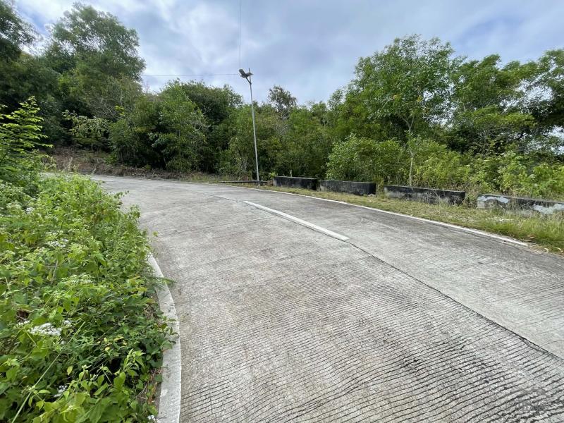 Picture of Residential Lot for sale in Maria in Siquijor