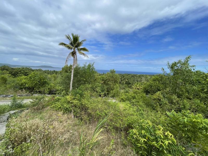 Residential Lot for sale in Maria in Siquijor - image