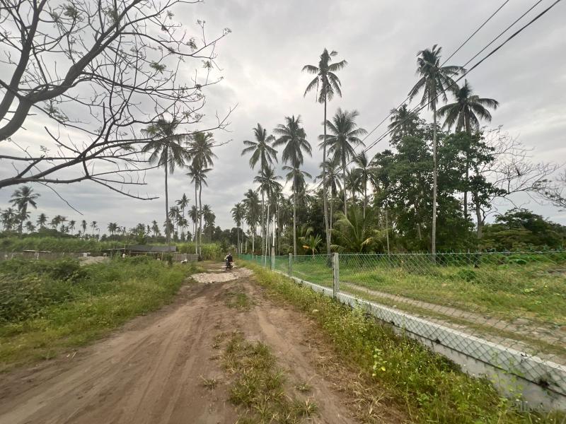 Residential Lot for sale in Zamboanguita - image 4