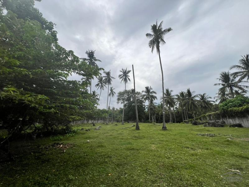 Land and Farm for sale in Bacong - image 10