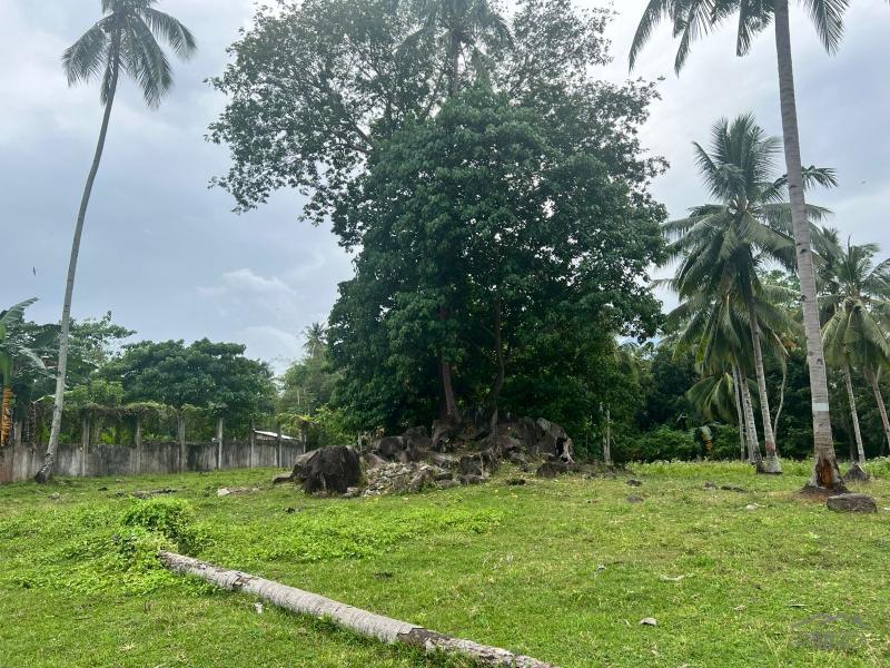Land and Farm for sale in Bacong - image 11