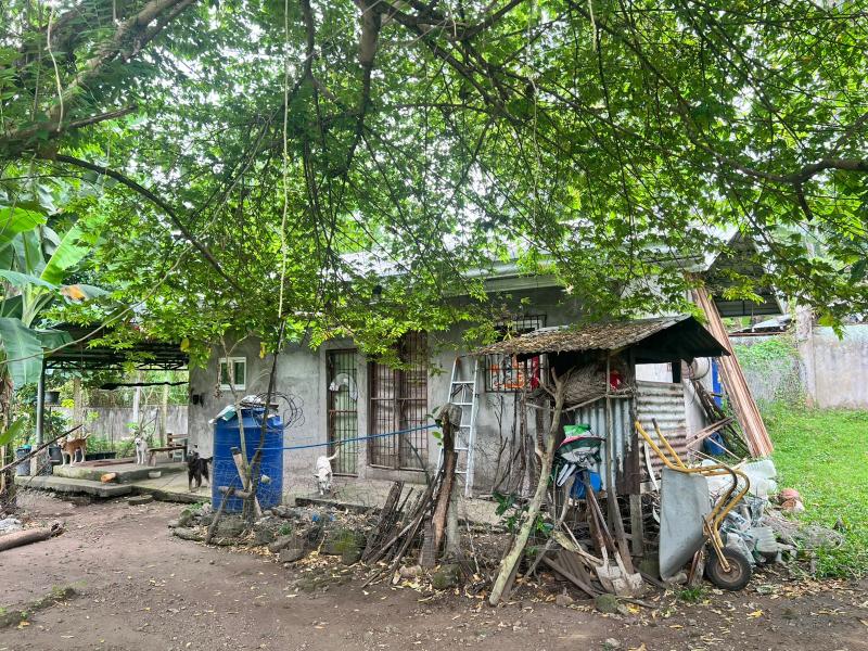 Land and Farm for sale in Bacong - image 12