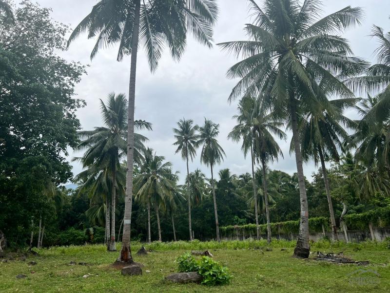 Land and Farm for sale in Bacong - image 13