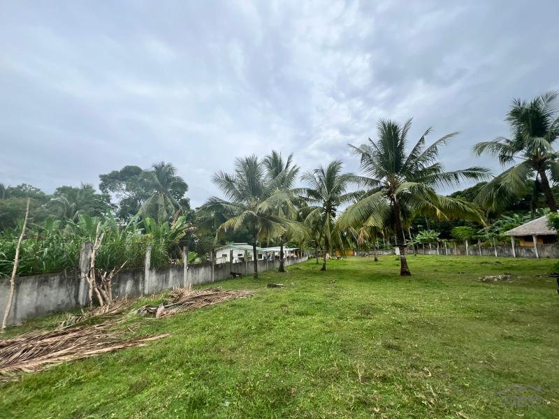 Land and Farm for sale in Bacong - image 14
