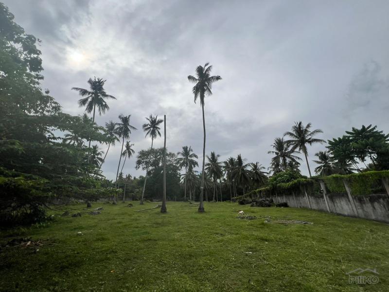 Land and Farm for sale in Bacong - image 15
