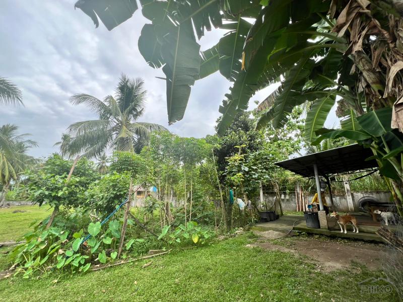Land and Farm for sale in Bacong - image 16