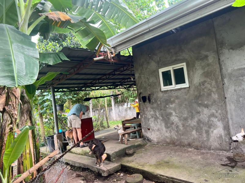 Land and Farm for sale in Bacong - image 17