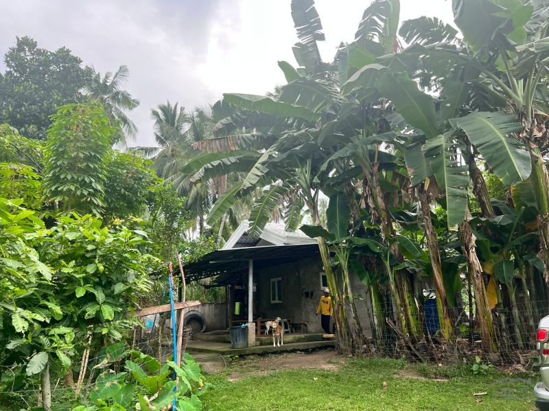 Land and Farm for sale in Bacong - image 18