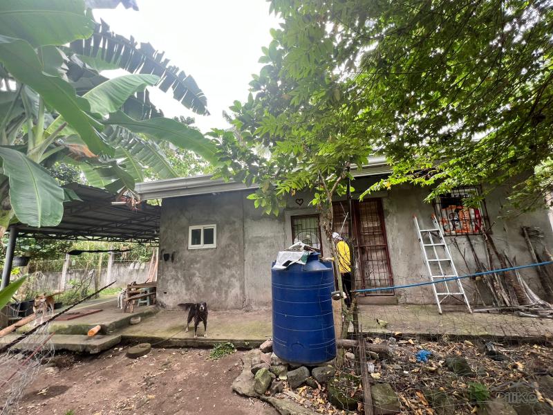 Land and Farm for sale in Bacong - image 19
