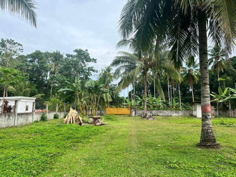 Pictures of Land and Farm for sale in Bacong