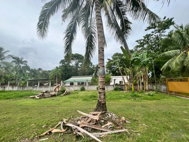 Land and Farm for sale in Bacong - image 21