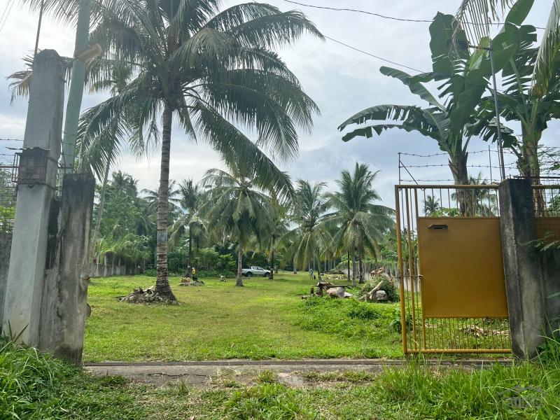 Land and Farm for sale in Bacong - image 22