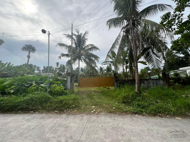 Land and Farm for sale in Bacong - image 24