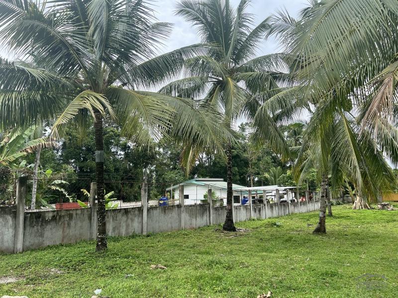 Land and Farm for sale in Bacong - image 2